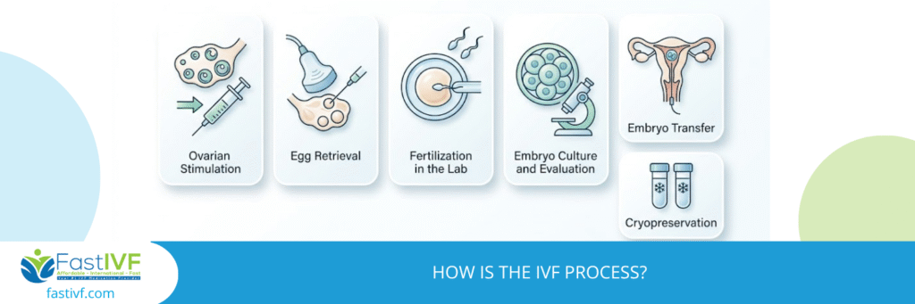 How is the IVF Process?