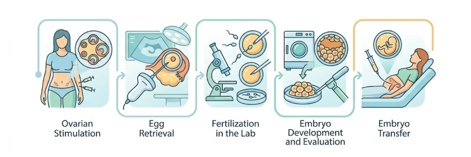 How is the IVF Process?