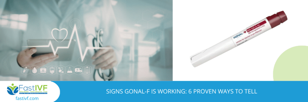 Signs Gonal-F Is Working